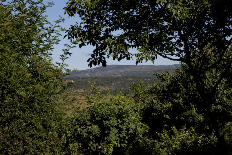 Paysage