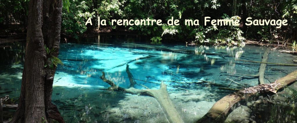 Stage Femme Sauvage